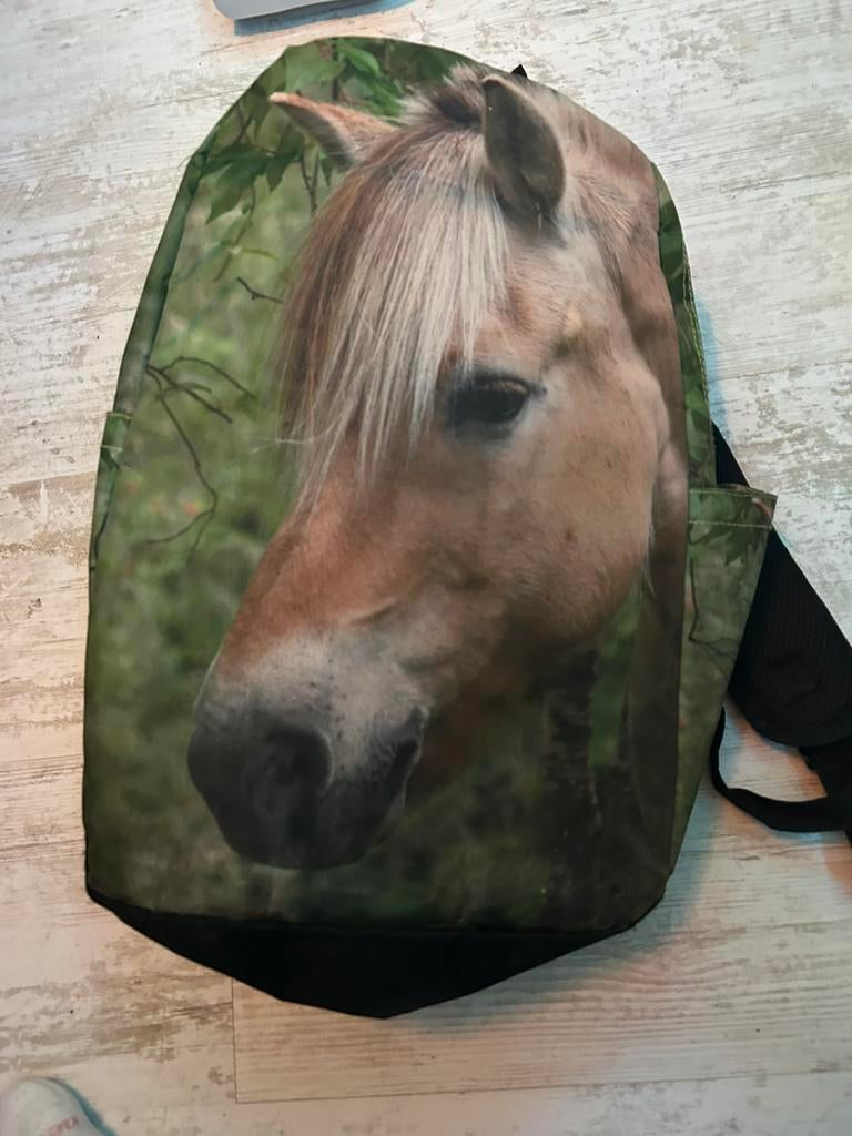 Rugtas paard, Ophalen of Verzenden, Zo goed als nieuw, Rugtas
