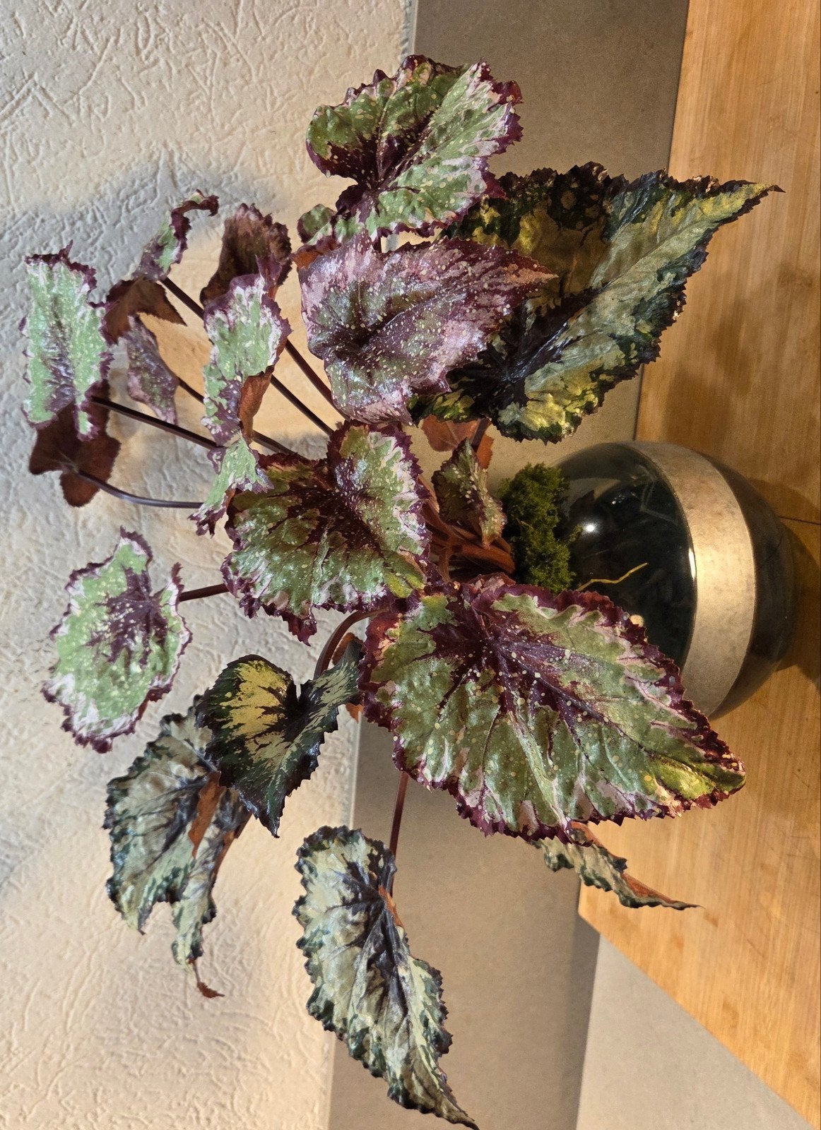 Silk-ka in mooie ronde vaas bloempot, Ophalen, Binnen, Overige typen, Zo goed als nieuw