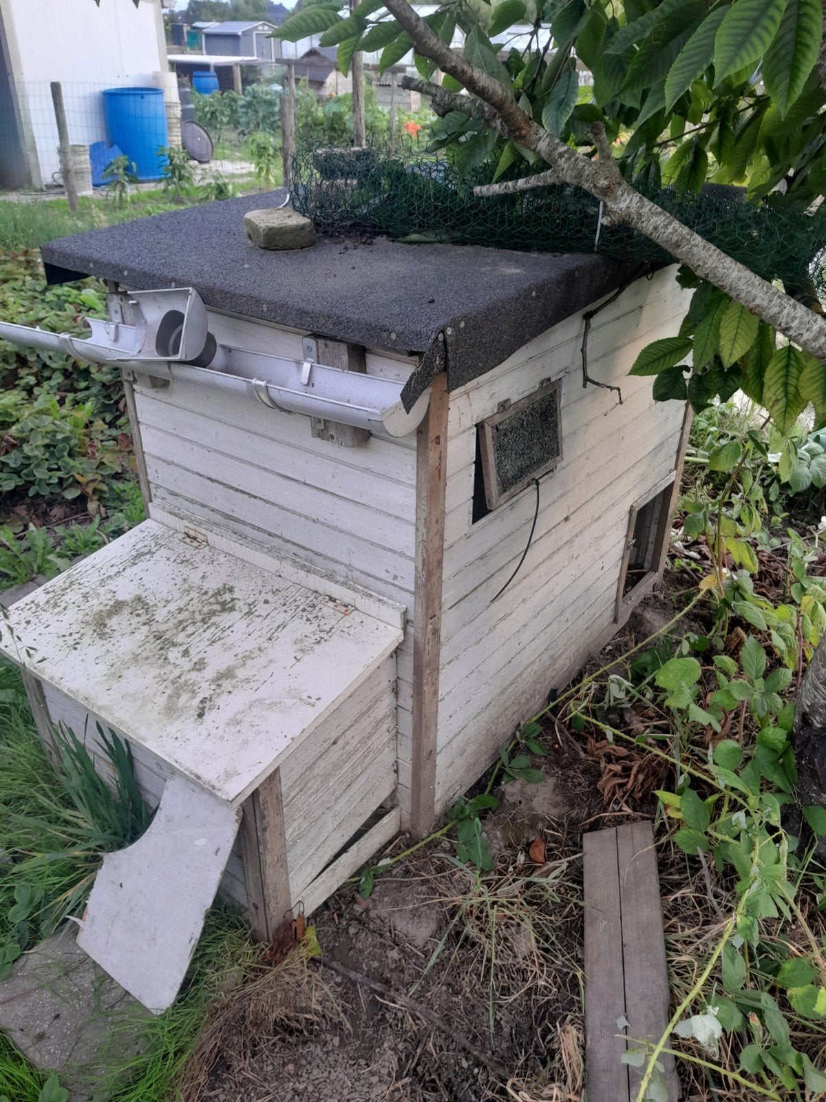gratis kippenhok, Ophalen, Gebruikt, Kippenhok of Kippenren