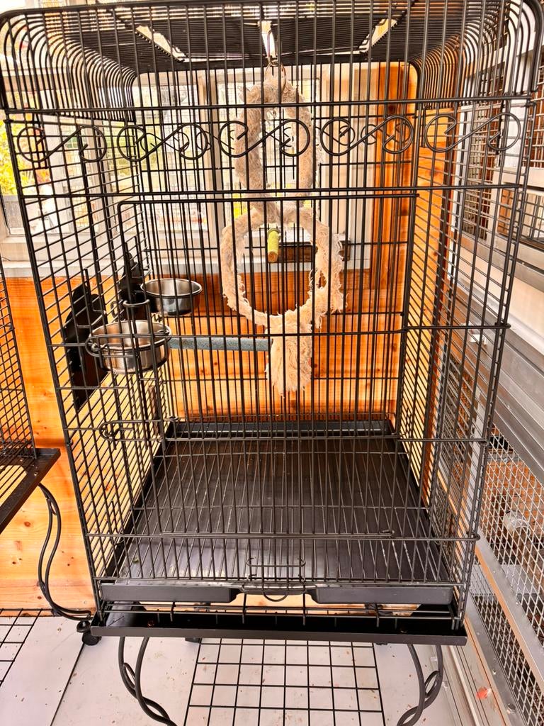 Kooi voor kleine papegaaien of parkieten, Dieren en Toebehoren, Ophalen, Zo goed als nieuw, Metaal, Vogelkooi