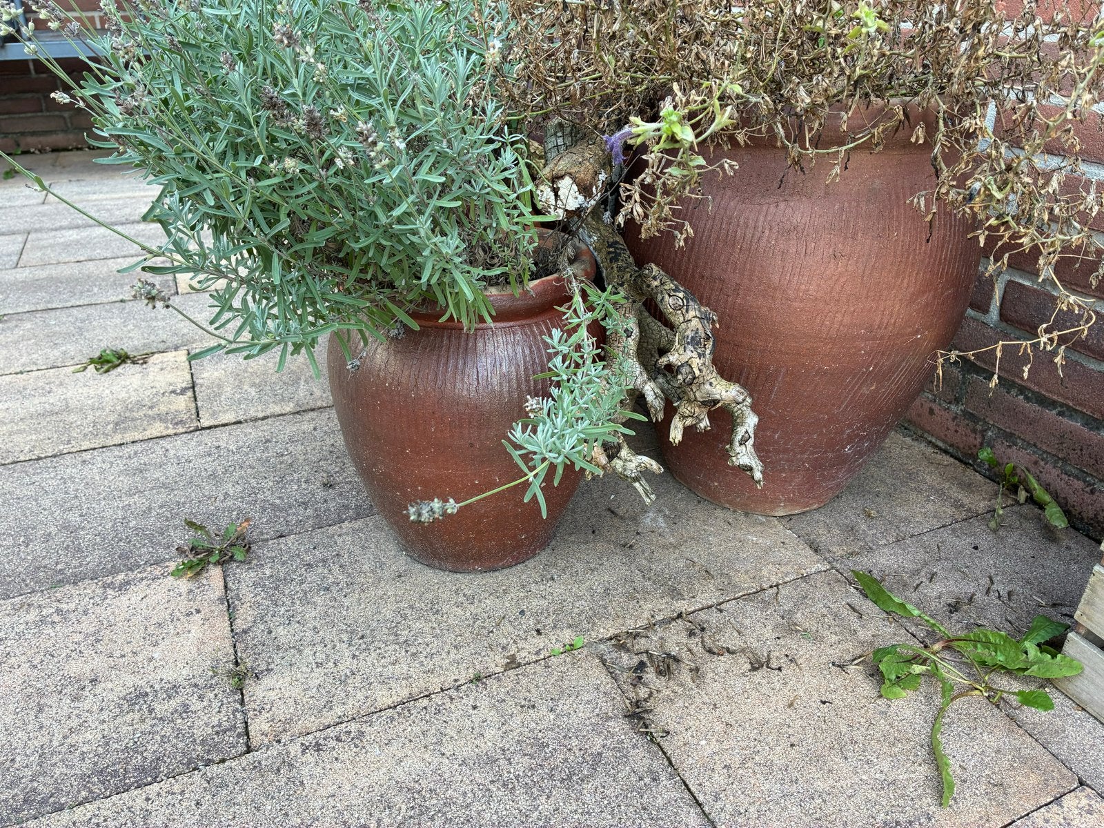 5 grote gebruikte aardewerk potten, Tuin en Terras, Ophalen, Gebruikt, 40 cm of meer, Rond