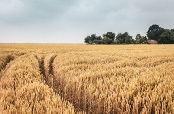 2 startkaarten tocht om de noord, Eén persoon