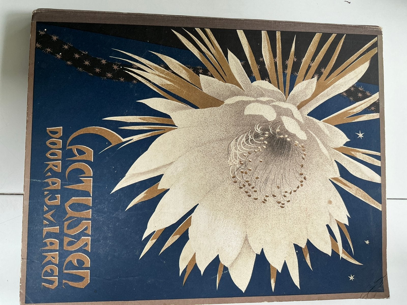 Cactussen - Verkade Album (1931) - A.J. van Laren, Ophalen of Verzenden, Gelezen, Bloemen, Planten en Bomen