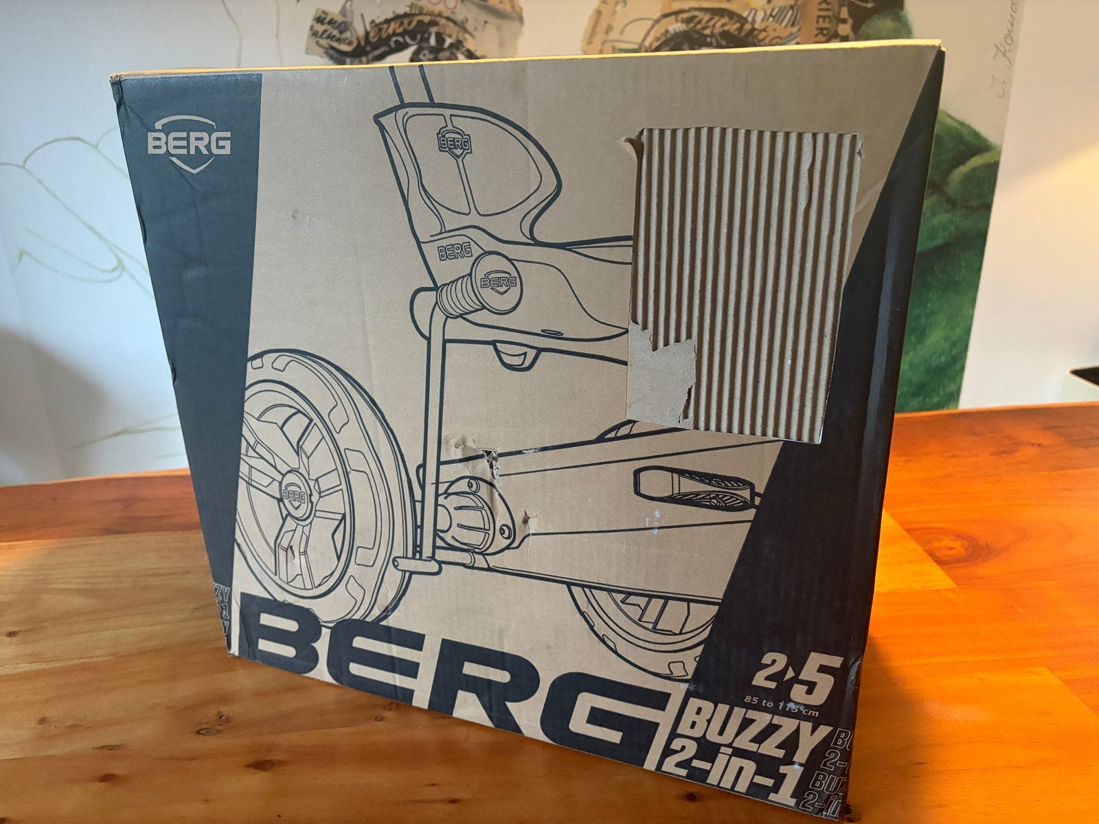 BERG Buzzy Retro 2-in-1 Green Skelter met Duwstang, Stevinlaan 2, 6716 WB Ede, Nederland, Trapvoertuig, Nieuw, BERG Toys B.V.