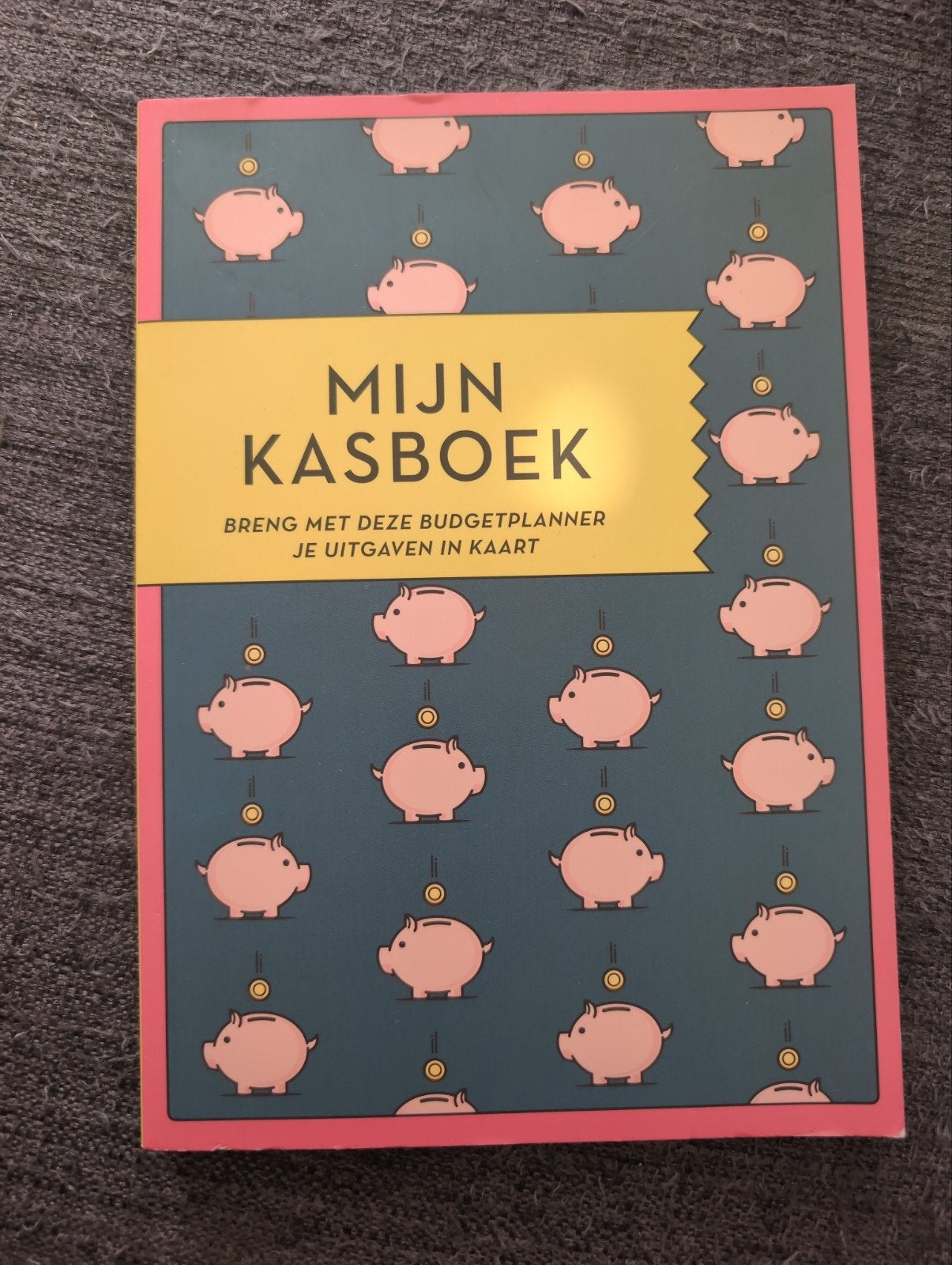 Witte Leeuw - Mijn kasboek, Ophalen of Verzenden, Zo goed als nieuw, Witte Leeuw