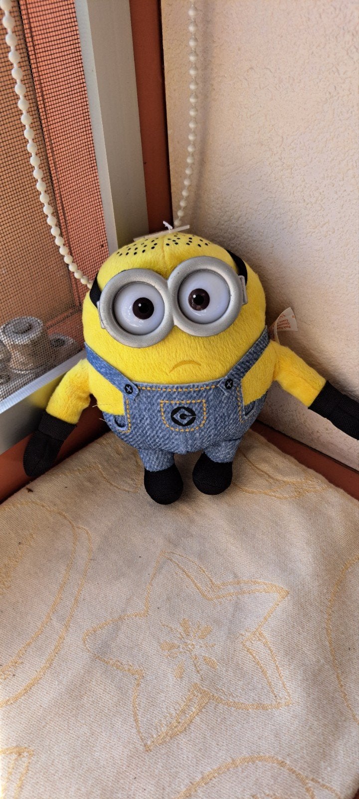Minions, Ophalen of Verzenden, Overige typen