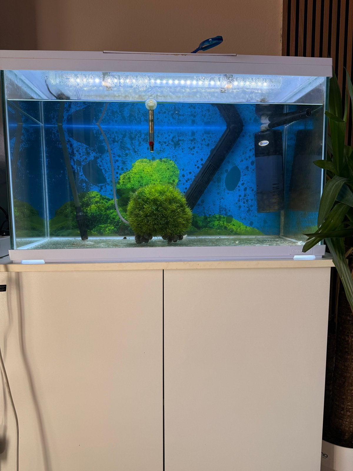 prachtig aquarium 110 liter, Ophalen of Verzenden, Zo goed als nieuw, Leeg aquarium