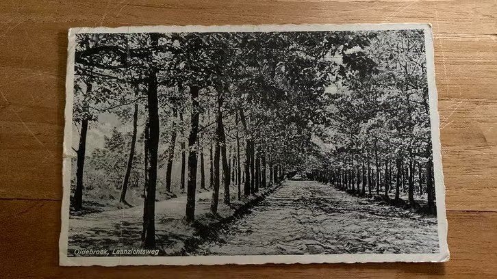 Ansichtkaart Oldebroek, laanzichtsweg ( 1938), Ophalen of Verzenden, 1920 tot 1940, Gelopen, Gelderland