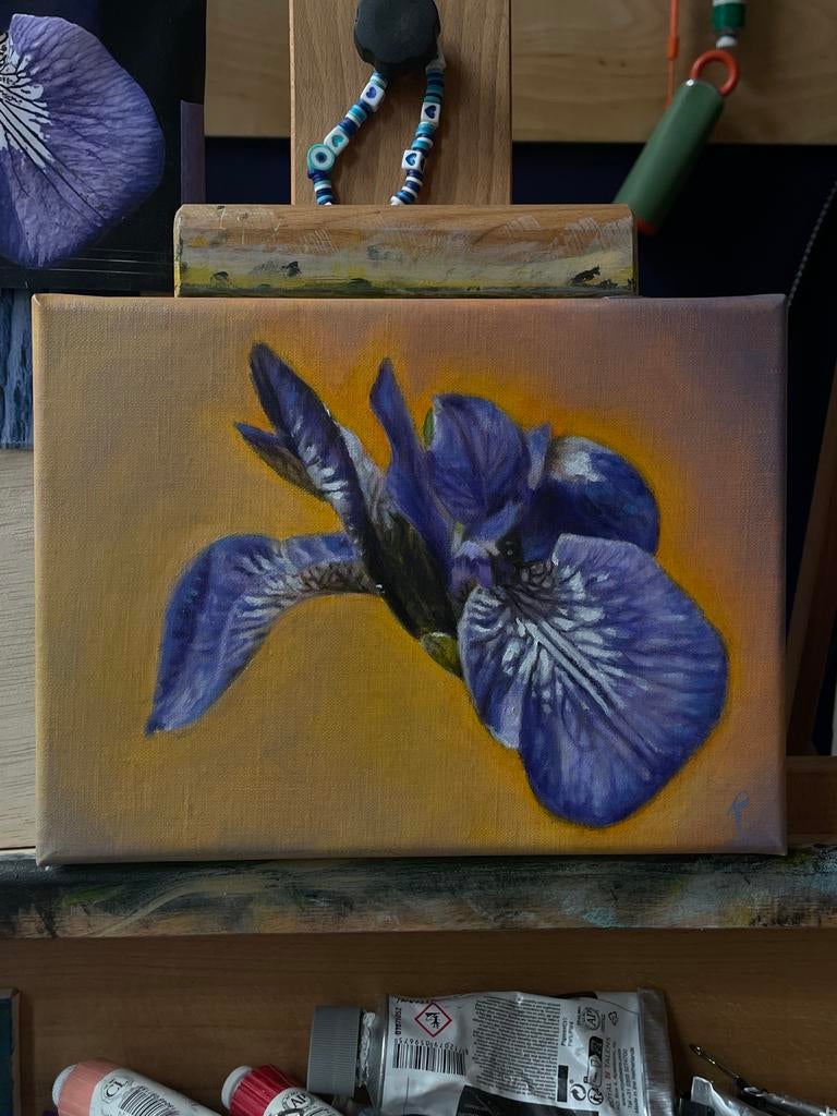 Olieverfschilderij Iris 18x24 cm, Ophalen