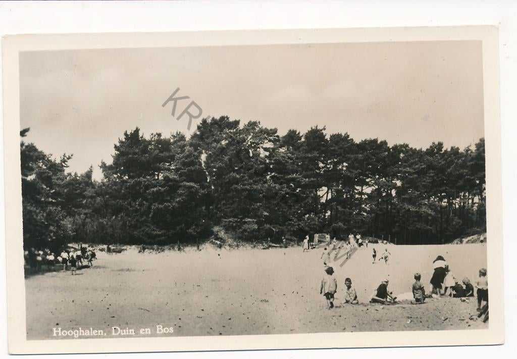 Hooghalen - Duin en Bos [KRST003-5273, Verzenden, 1940 tot 1960, Ongelopen, Drenthe
