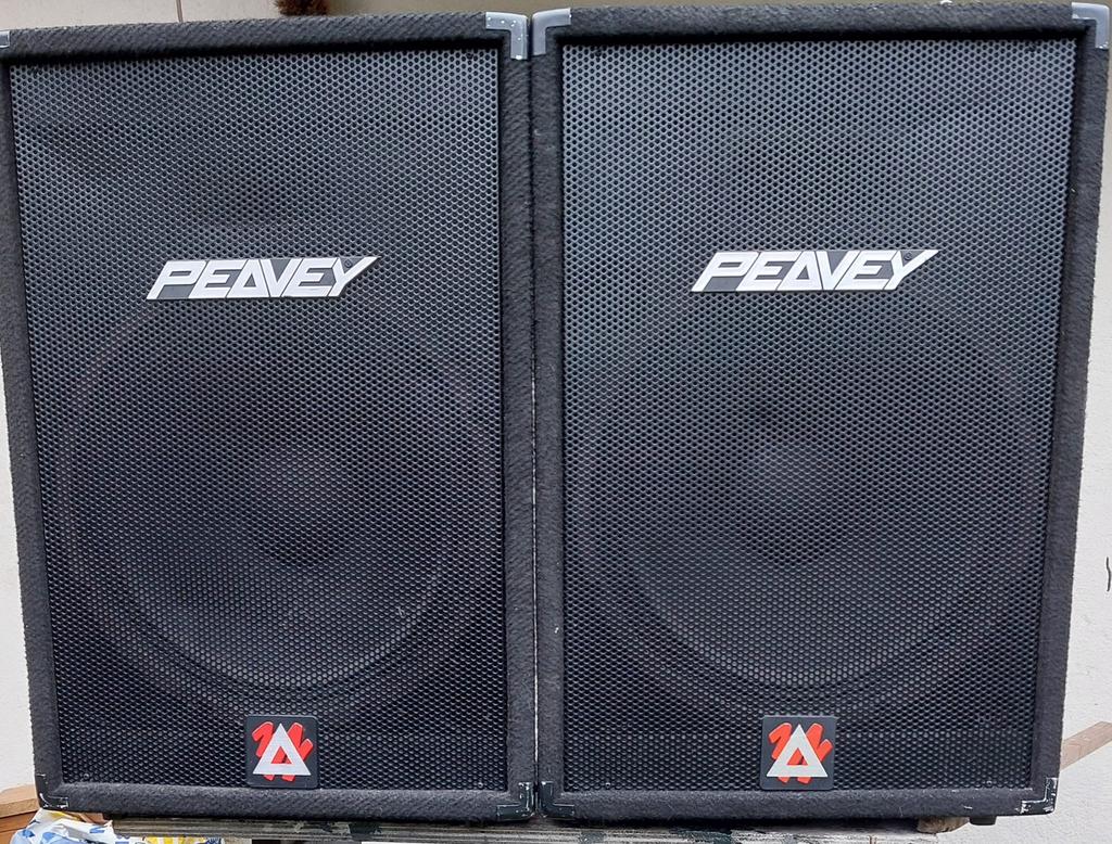 Peavey boxen 300 watt Vaste prijs, Ophalen, Zo goed als nieuw, Minder dan 500 watt