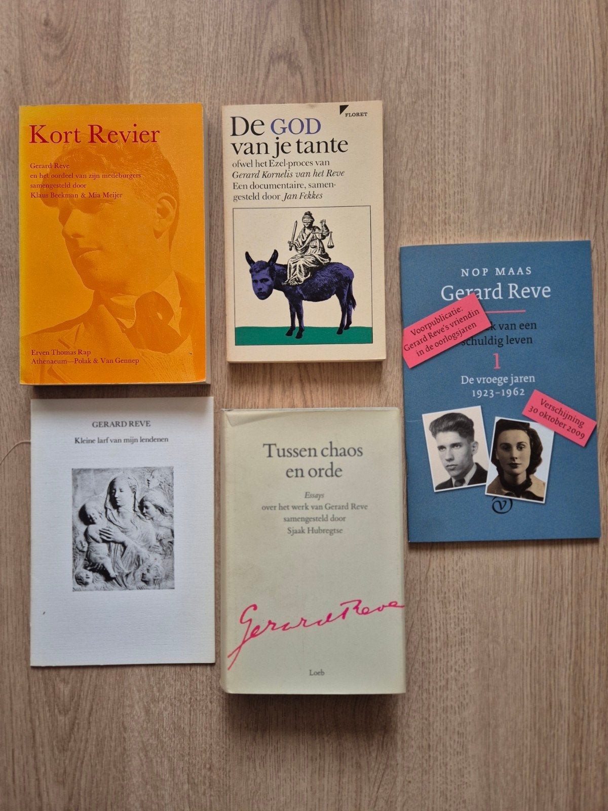 Mooie verzameling Gerard Reve (biografie, essays & zeldzame, Ophalen of Verzenden