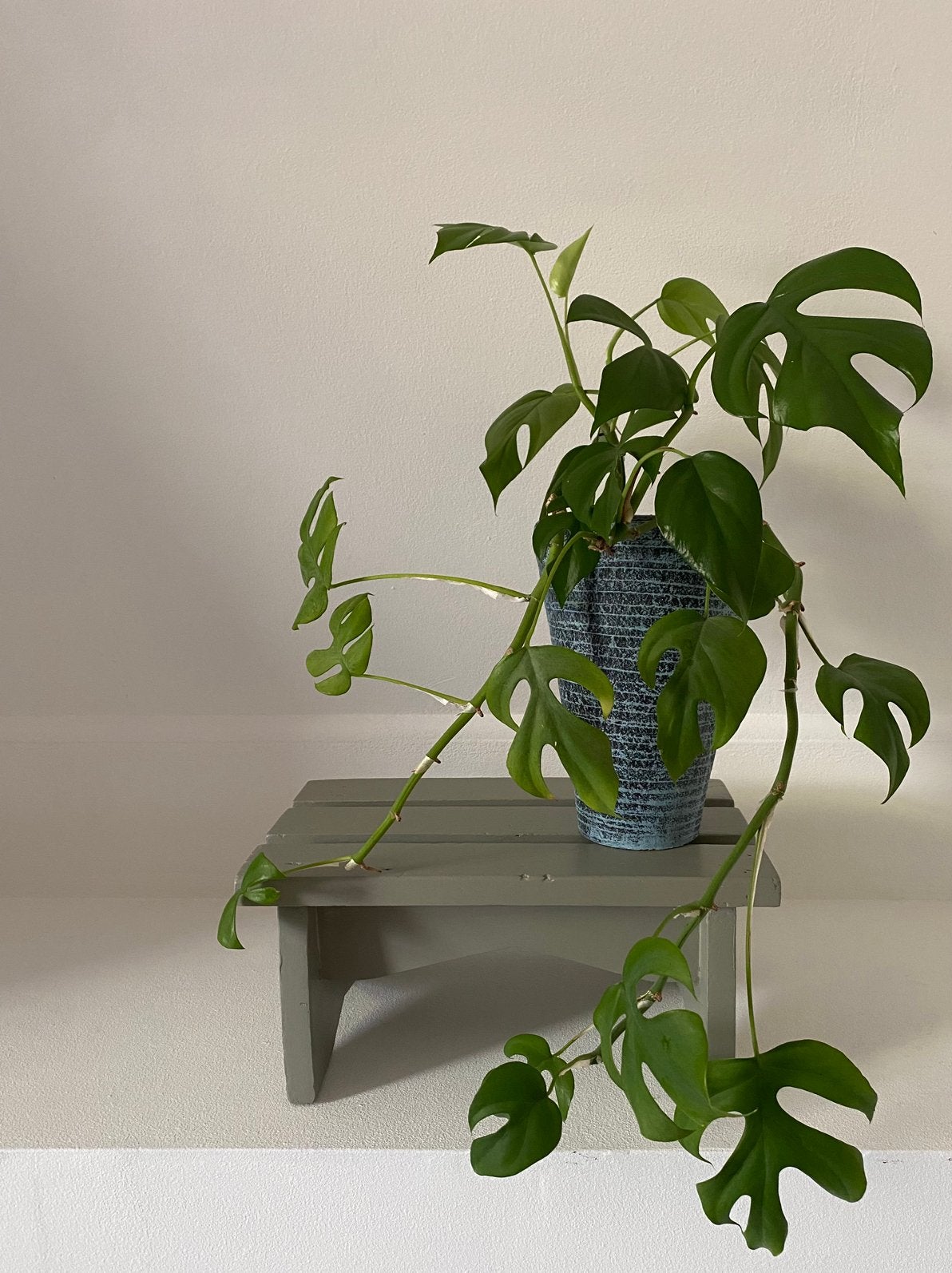 Vintage Krukje Opstapje trendkleur ‘Soulful Sage’, Ophalen, Hout