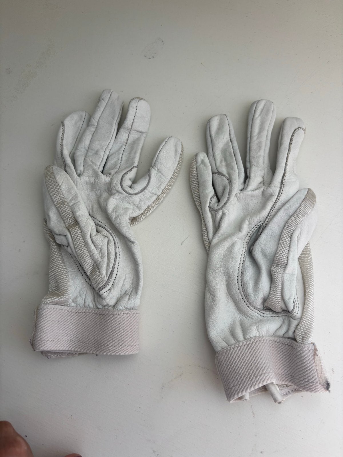 Paardrijdhandschoenen, Dieren en Toebehoren, Ophalen of Verzenden, Gebruikt, Dressuur