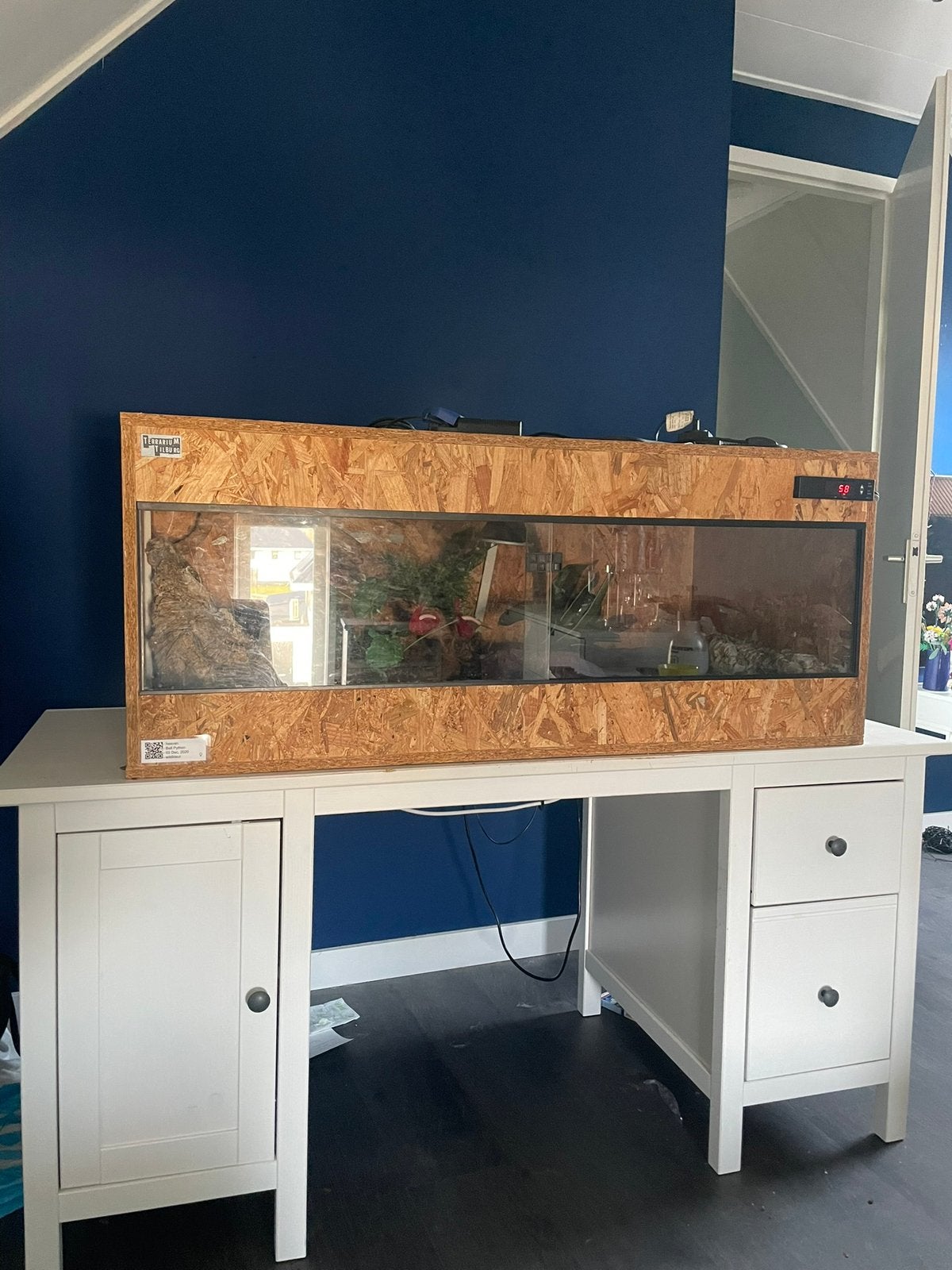 OSB terrarium + apparatuur te koop, Dieren en Toebehoren, Reptielen en Amfibieën | Toebehoren, Ophalen, Gebruikt, Terrarium of Paludarium