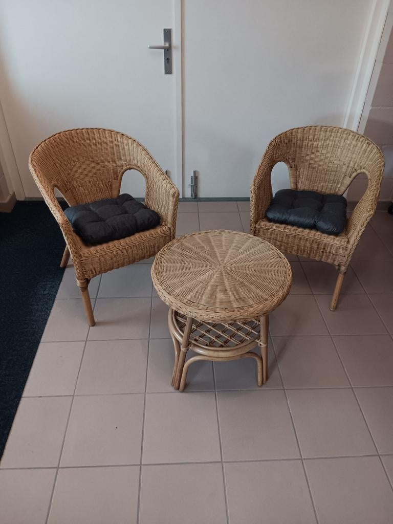 Rotan tuinset, Ophalen of Verzenden, Zo goed als nieuw, 2 zitplaatsen