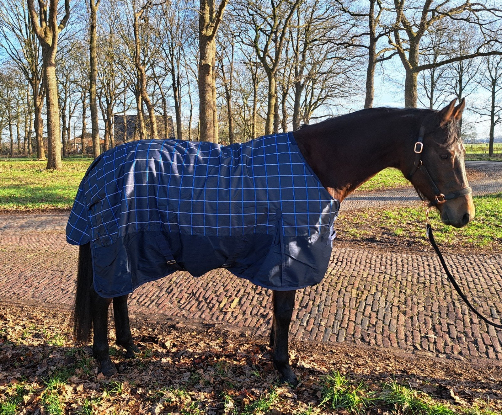 Riders King winter/outdoordeken 100 gr maat 175.185.195.205, Dieren en Toebehoren, 100 g, Overige merken, ., Nieuw