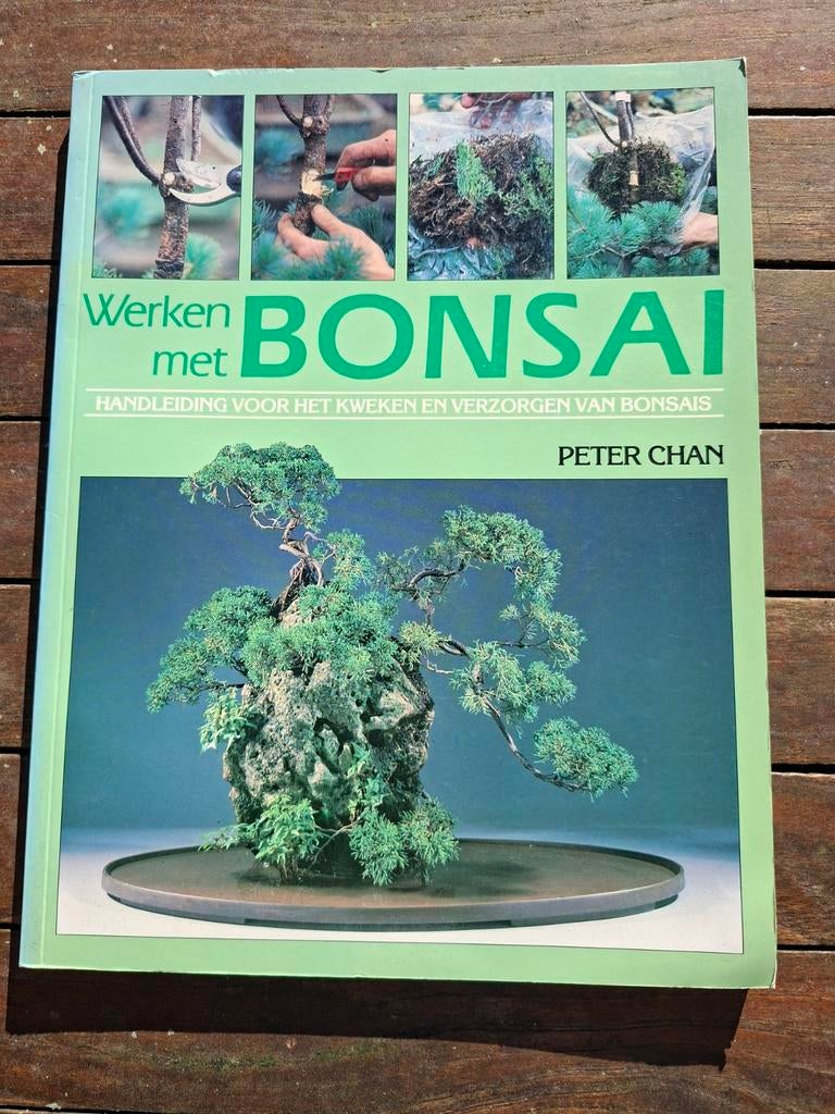 Werken met Bonsai - Handleiding voor het kweken en verzorgen, Ophalen of Verzenden, Zo goed als nieuw, Overige onderwerpen, Peter Chan