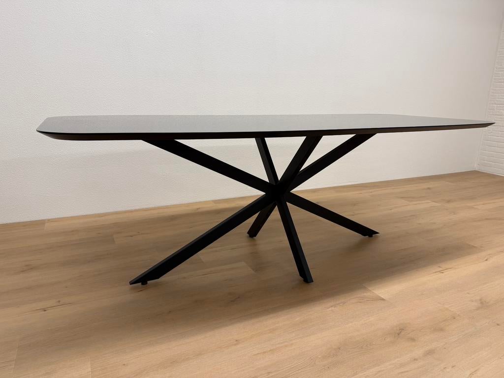 Deens ovale eettafel HPL Glanzend 220x100 - Direct Leverbaar, 100 tot 150 cm, 200 cm of meer, Ophalen of Verzenden, Zo goed als nieuw