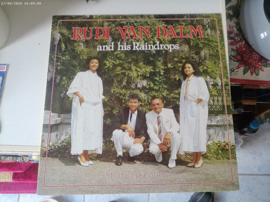LP Rudi van Dalm & his Raindrops, Gebruikt, Fotohoes, Ophalen of Verzenden, Levenslied of Smartlap