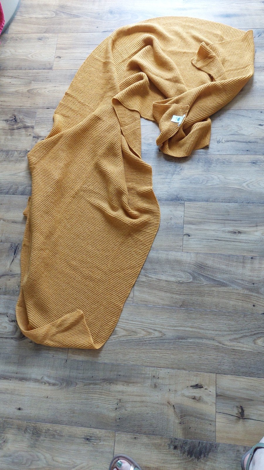 Heerlijke okergele sjaal van America Today, nieuw, Maat 46/48 (XL) of groter, Nieuw, Ophalen of Verzenden, Sjaal