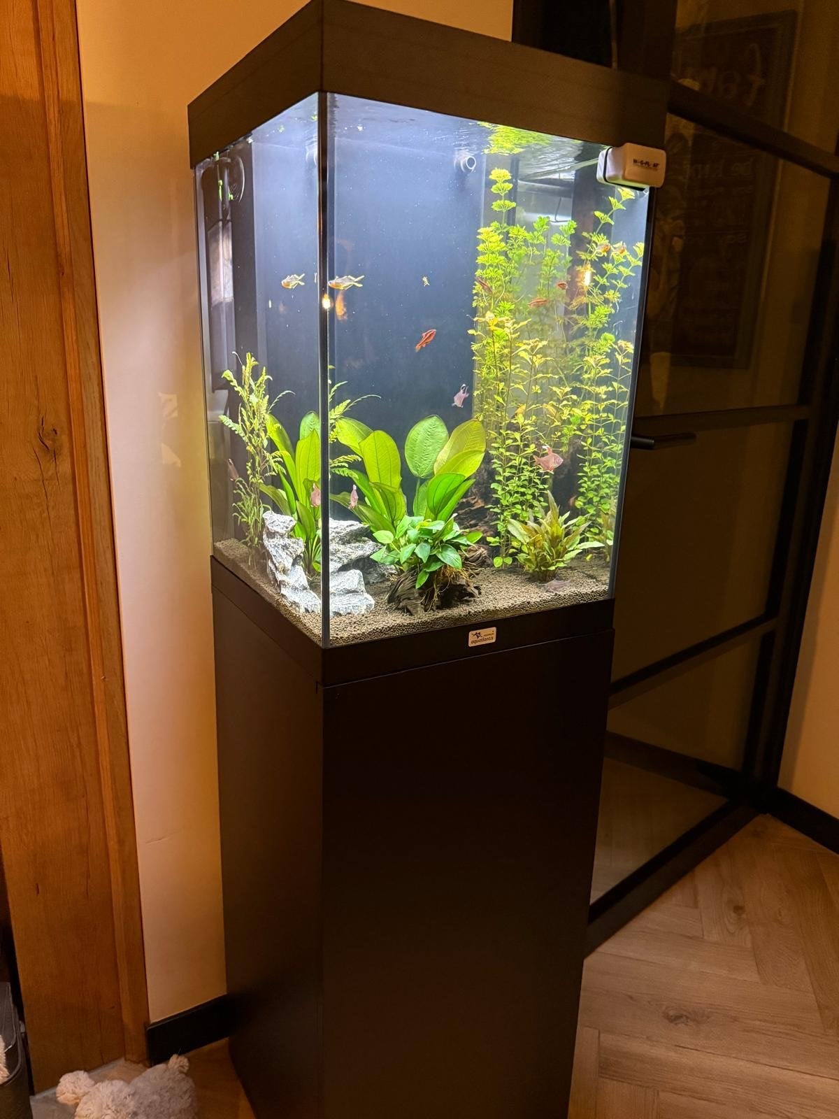 Te koop mooi smal aquarium voorzien van ondermeubel, Dieren en Toebehoren, Ophalen of Verzenden, Zo goed als nieuw, Leeg aquarium