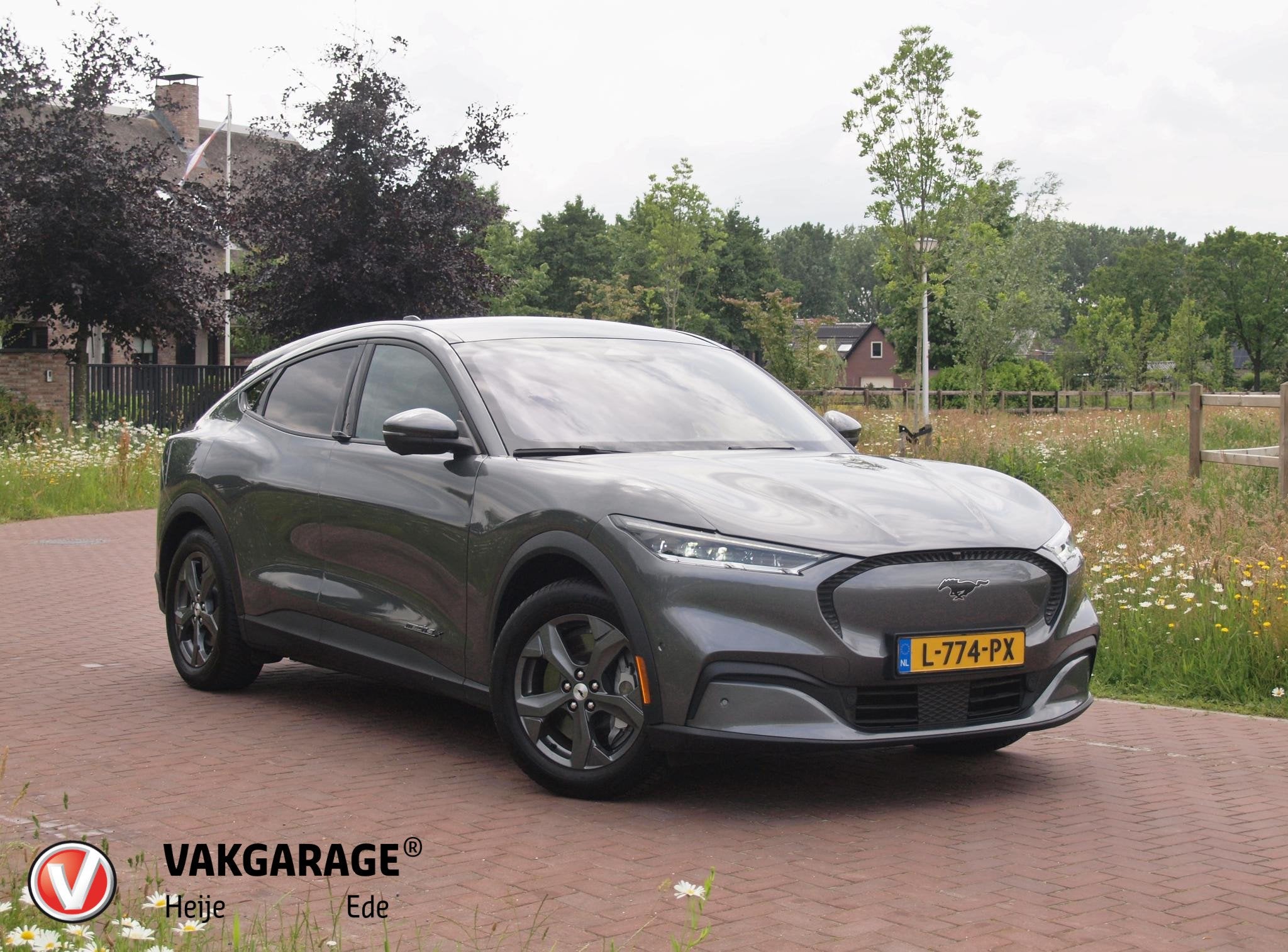 Ford Mustang Mach-E Extended RWD 98 kWh | Panoramadak | Bang, Dealer onderhouden, Gebruikt, 750 kg, 600 km