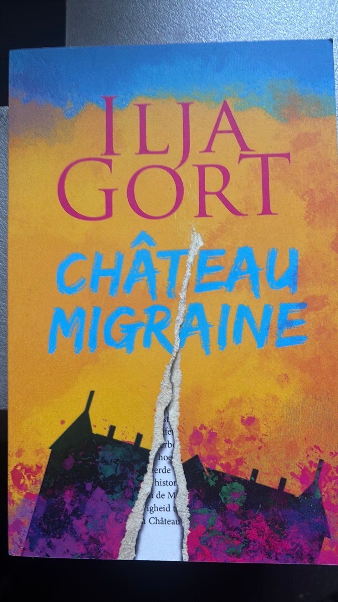 Ilja Gort - Chateau Migraine., Ophalen of Verzenden, Zo goed als nieuw, Ilja Gort