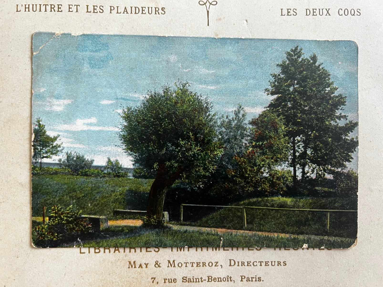 Aan fam. Visschers te Ulestraten - 1906 Bomen in het park, Ophalen of Verzenden, Voor 1920, Gelopen, Overige thema's