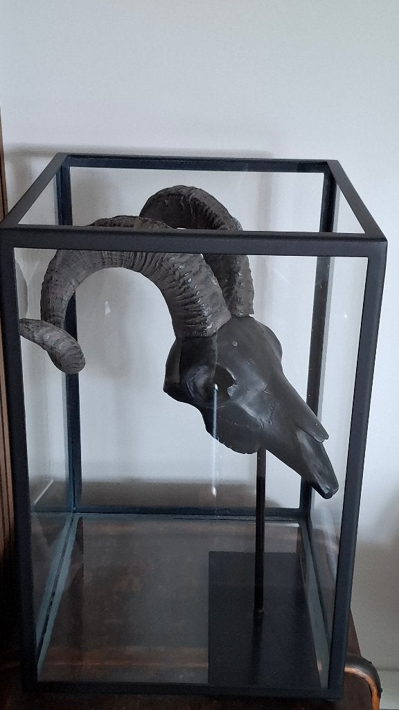 Zwart Metalen Windlicht / Display Vitrinekast (40x40x60 cm), Ophalen, Zwart, Zo goed als nieuw, Metaal