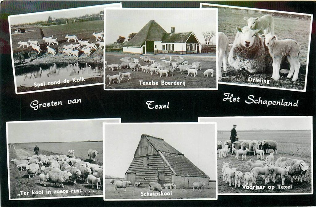 702-071-049 Texel, Verzenden, Voor 1920, Noord-Holland