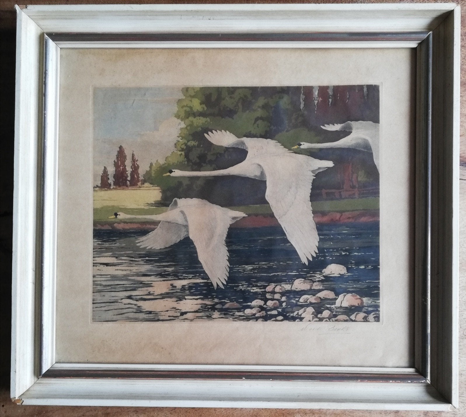 WARD BINKS (1880-1950). Flying Swans. Gekl. ets. *Zie tekst, Ophalen, Ets, 47 cm, 52 cm