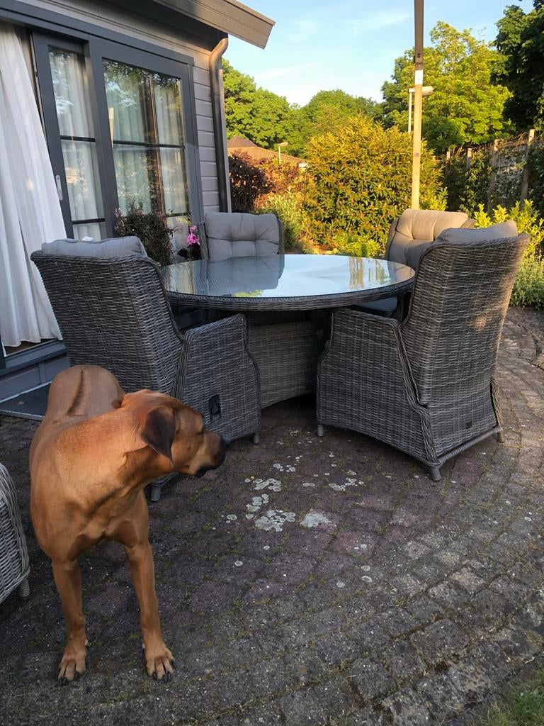 Prachtige Bois le Duc wicker tuinset met 4 stoelen, Tuin en Terras, Tuinsets en Loungesets, 4 zitplaatsen, Eettafel, Ophalen of Verzenden
