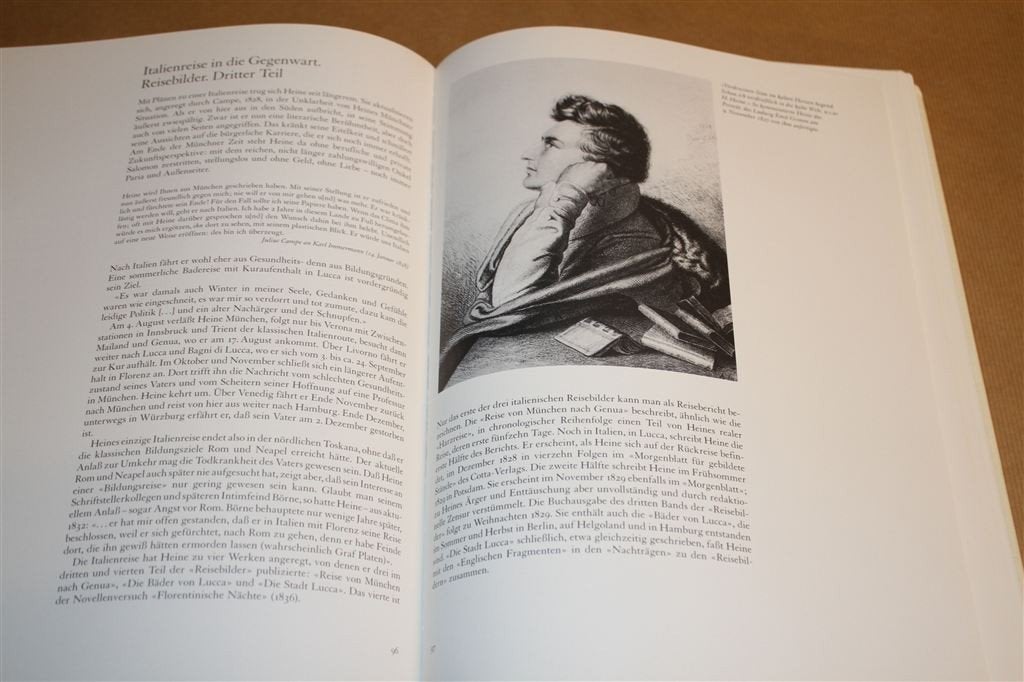 Heinrich Heine. Leven, werk en invloed. Edda Ziegler., Ophalen of Verzenden, Gelezen