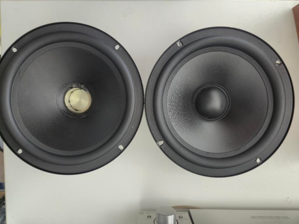 2x Woofer Transfer audio PR 20 8 ohm, Overige merken, Gebruikt, Subwoofer, Ophalen of Verzenden