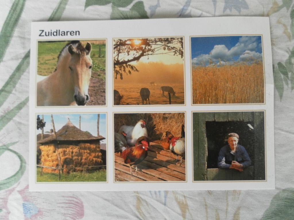 kaart Zuidlaren verzamelkaart, Ophalen of Verzenden, 1980 tot heden, Gelopen, Drenthe