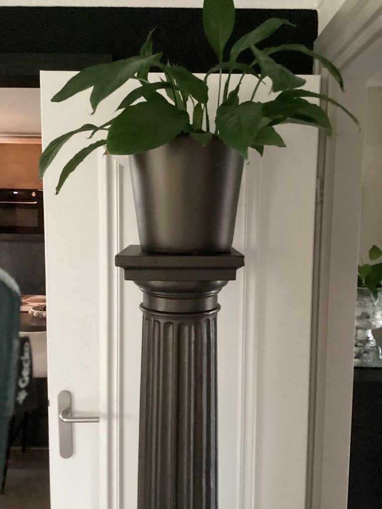 Plantenzuil met pot, Ophalen, Zo goed als nieuw