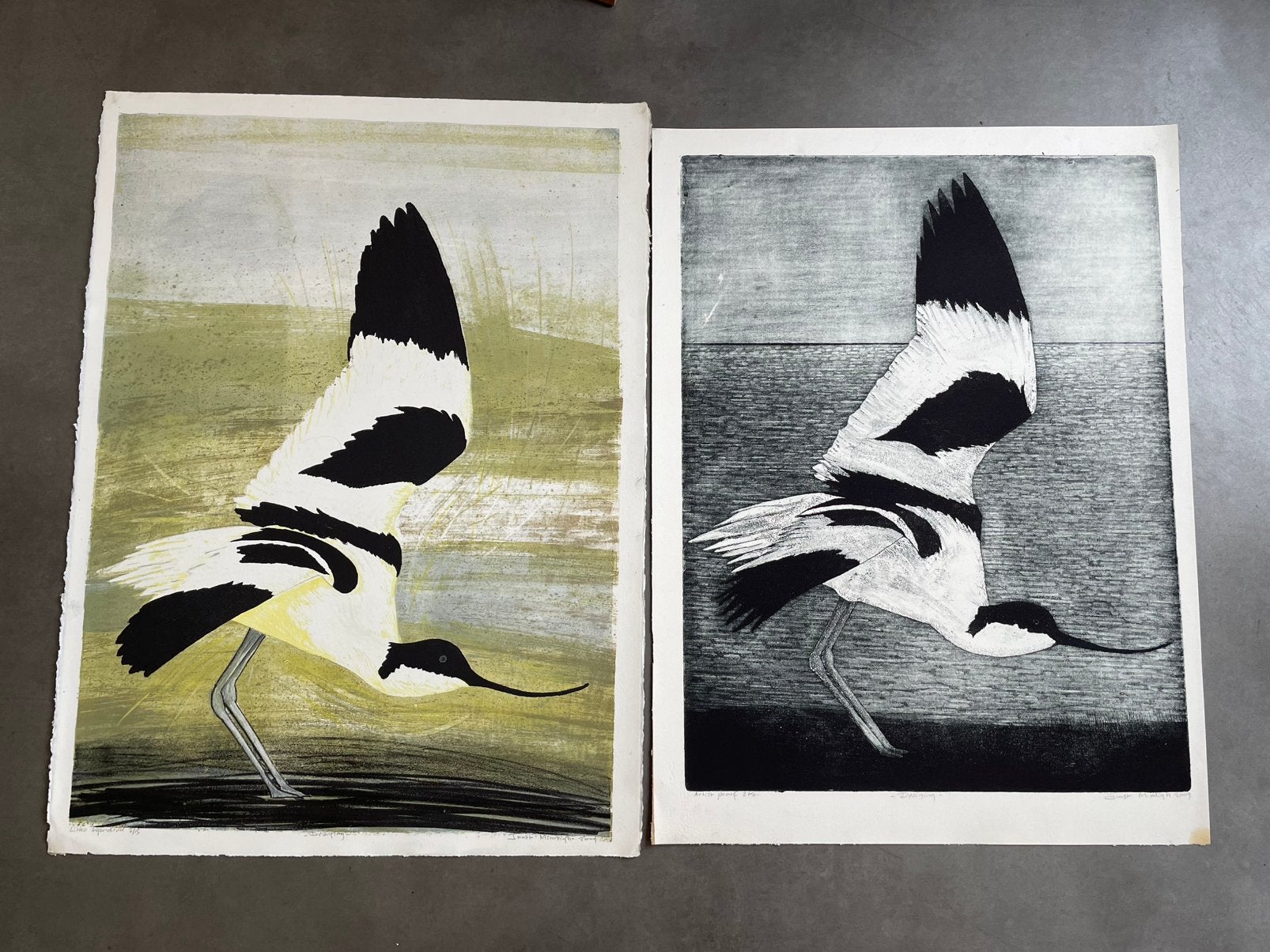 Diverse lithos/etsen Joost Minnigh  €200,- tot 300,-, Gelimiteerde oplage, Ophalen of Verzenden, Lithografie, Dieren en Natuur