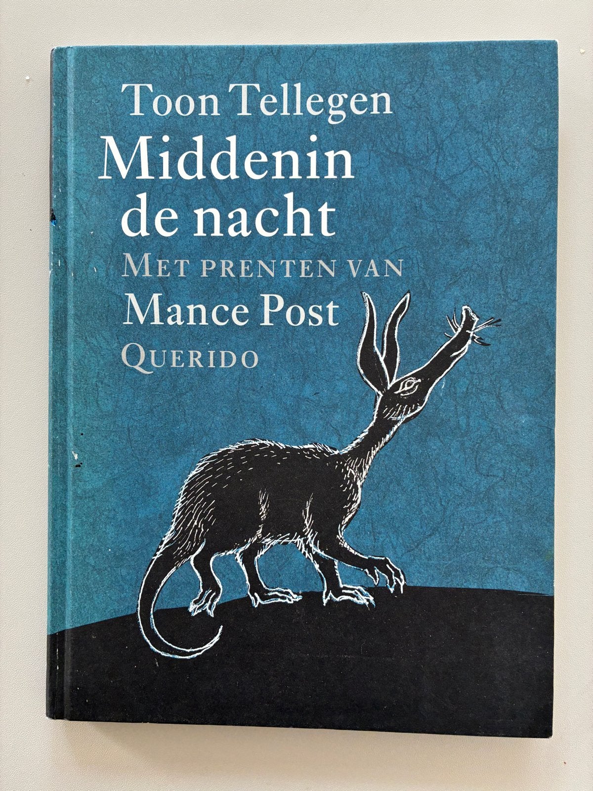 Middenin de nacht - Toon Tellegen (Hardcover), Ophalen of Verzenden, Zo goed als nieuw, Fictie algemeen