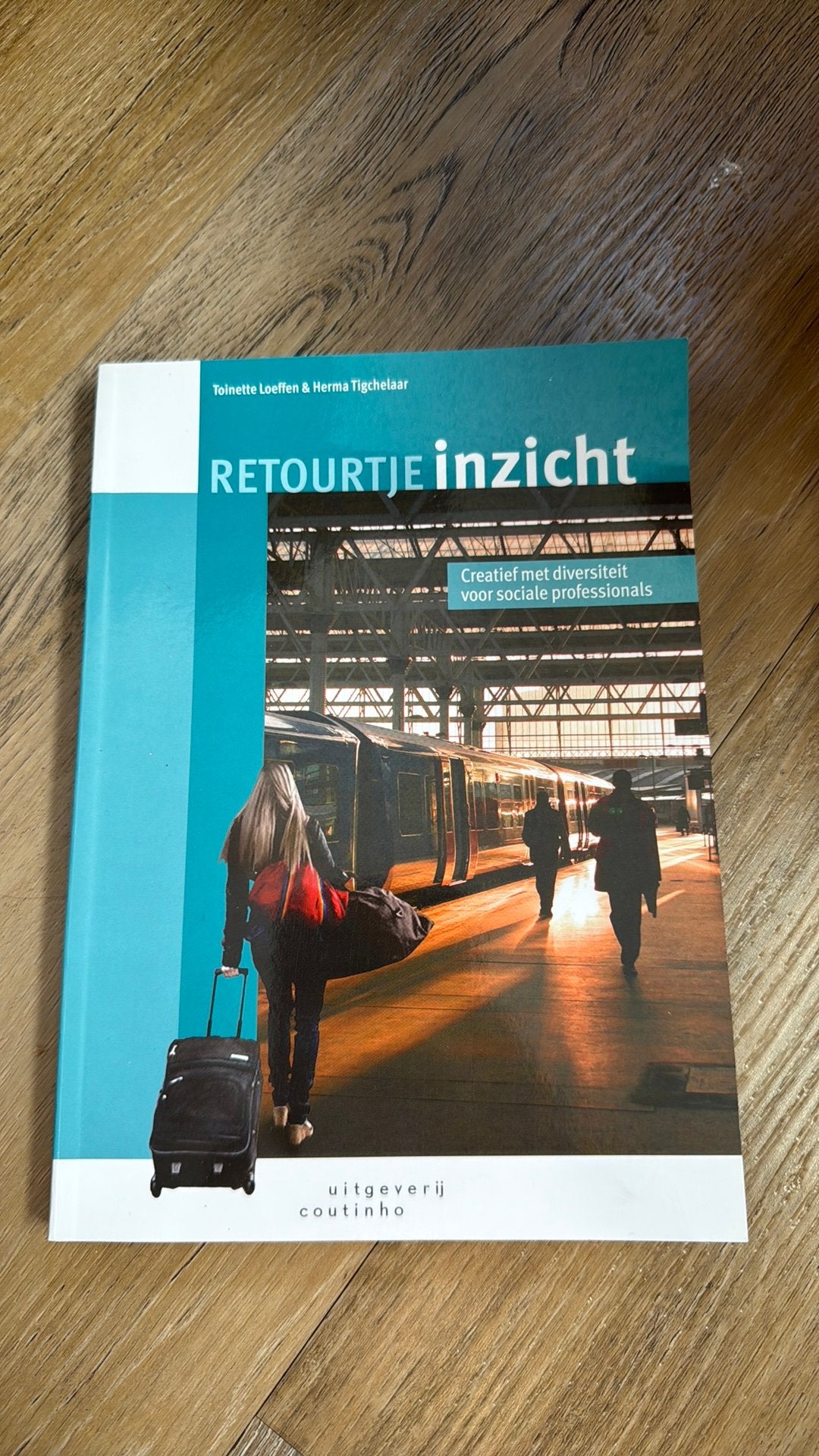 Retourtje inzicht boek, Ophalen of Verzenden, Zo goed als nieuw, Overige niveaus