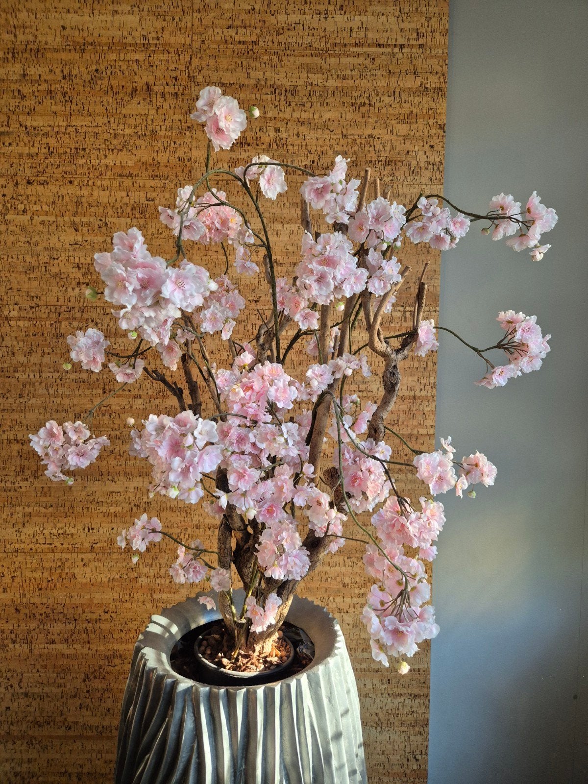 bloesemboom roze, Ophalen