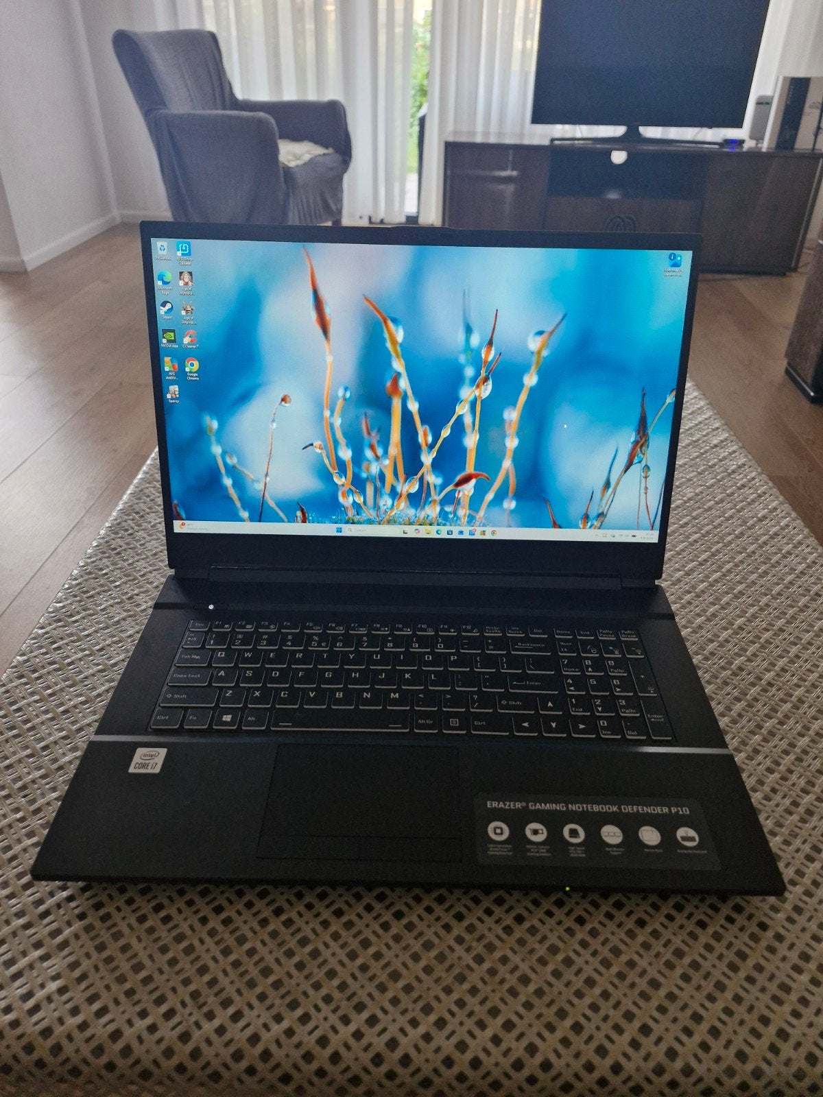 Medion Erazer Defender P10 17,3 Inch RTX 3060 Game Laptop, Met videokaart, 2 tot 3 Ghz, Qwerty, Gaming