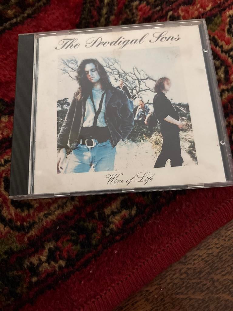 The Prodigal Sons - Wine of Life CD (1993), Ophalen of Verzenden, 1990 - 1999, Gebruikt