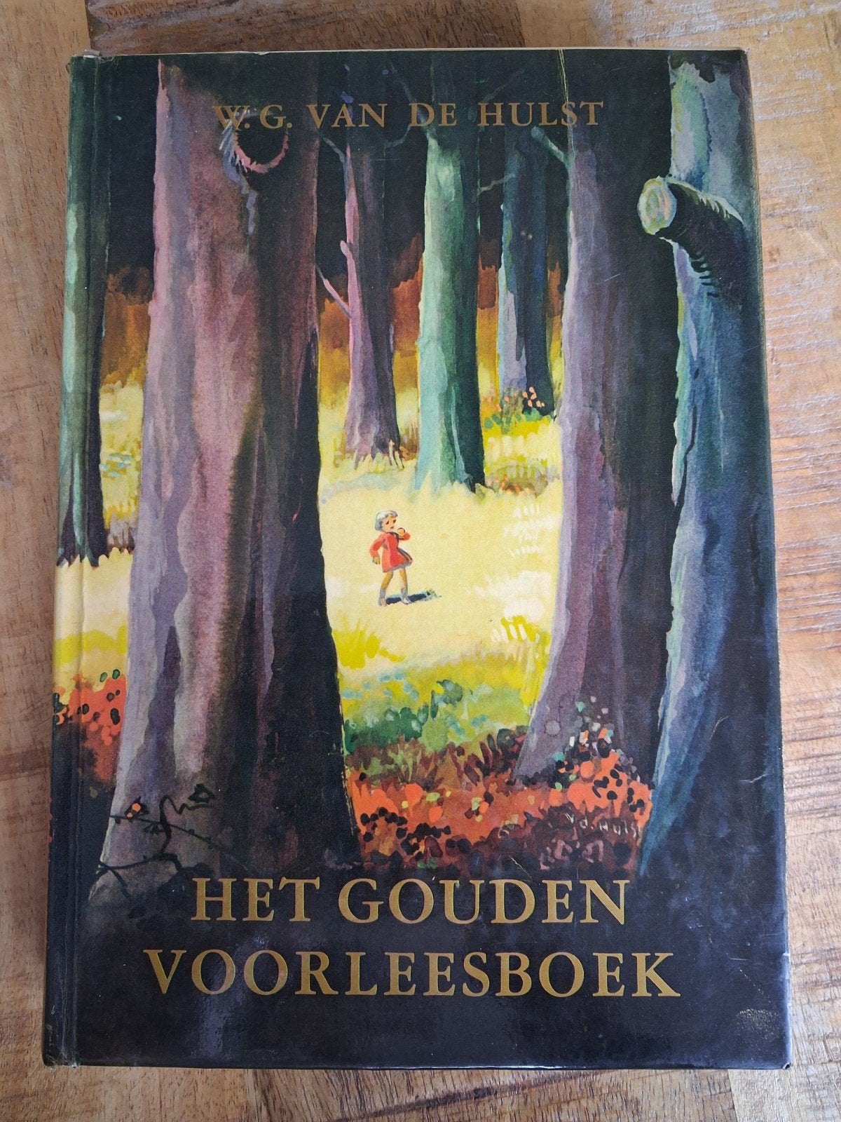 W.G. van de Hulst  - Het Gouden Voorleesboek, Ophalen of Verzenden, W.G. van de Hulst, Fictie algemeen