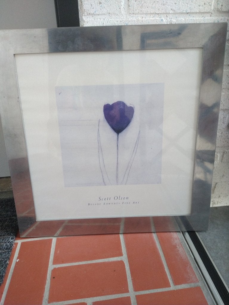 Scott Olson print met lijst, Ophalen, Gebruikt, Met lijst, Vierkant