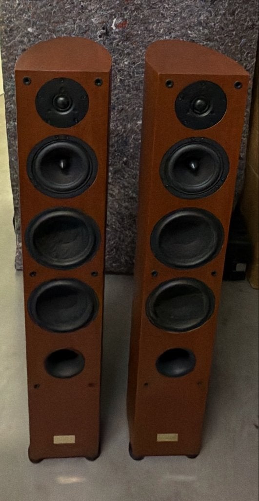 Millon Amantes, Vloerstaande luidspreker, Gebruikt, Ophalen, 150 watt of meer