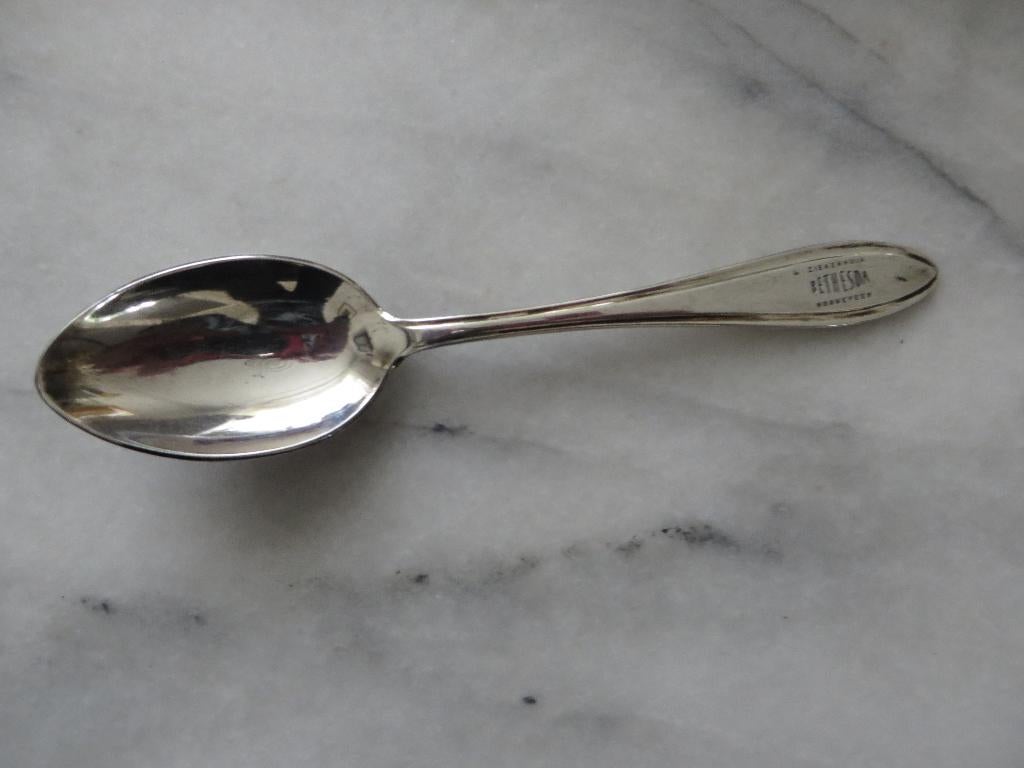 Bethesdag ziekenhuis Hoogeveen, oud bestek, dessert lepel, Ophalen of Verzenden