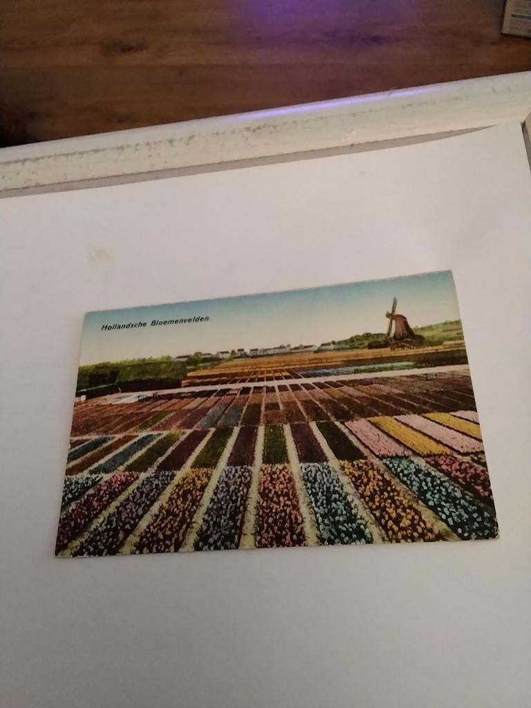 HOLLANDSCHE  BLOEMENVELDEN, Verzamelen, Ansichtkaarten | Nederland, Ophalen of Verzenden, Voor 1920, Zuid-Holland