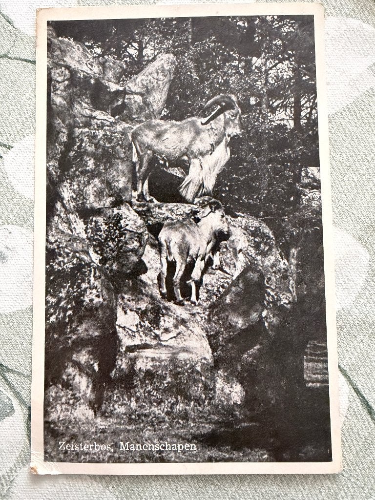 Ansichtkaart Zeisterbos, Manenschapen, Ophalen of Verzenden, 1960 tot 1980, Gelopen, Utrecht
