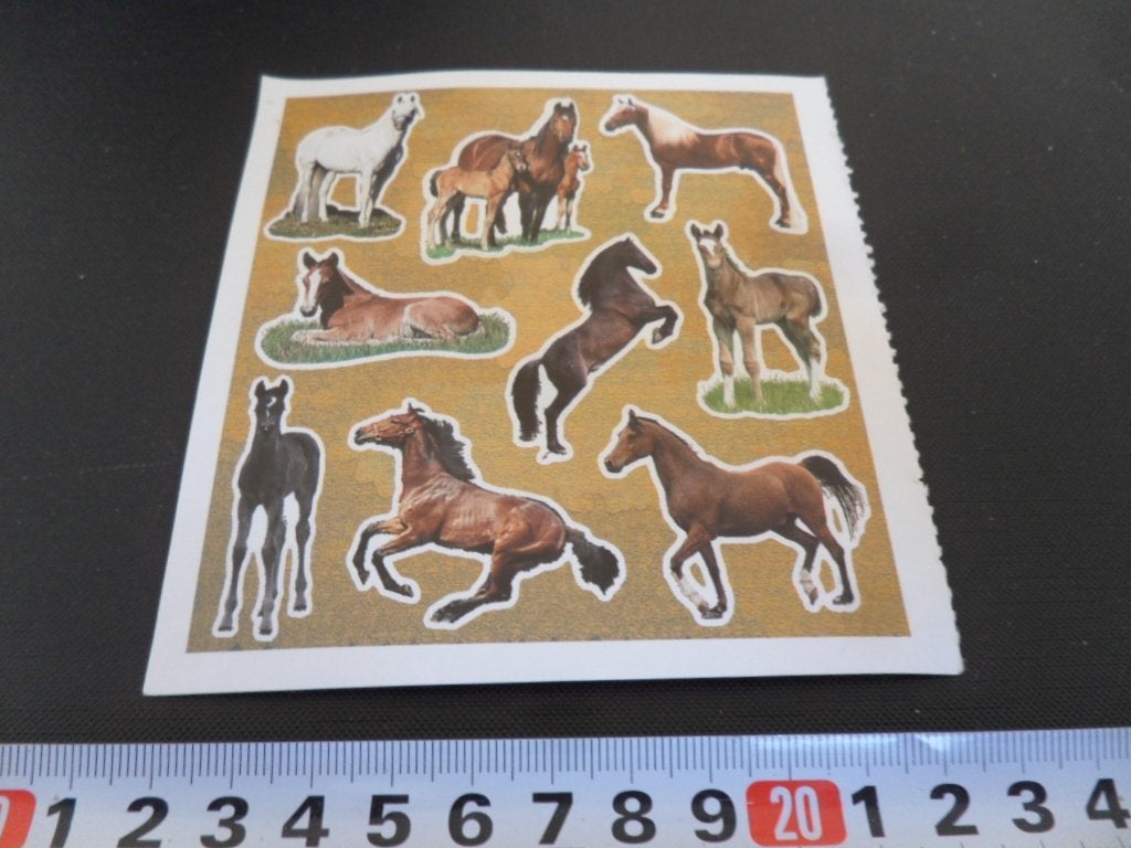 sticker Set Paarden paard, Ophalen, Zo goed als nieuw